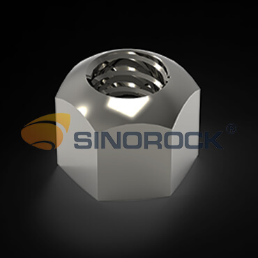 stainless steel Nut