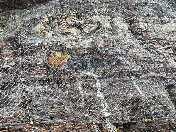 Active Protective Mesh