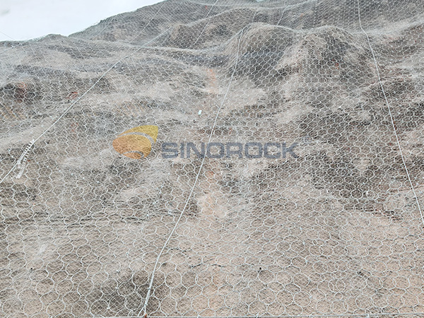 Cost and Economic Considerations