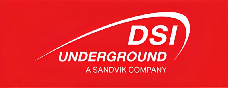 DSI LOGO