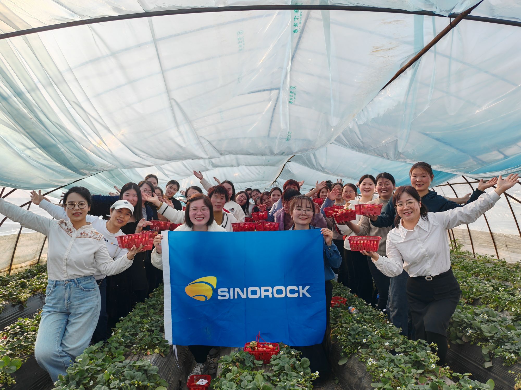 Strawberry-picking