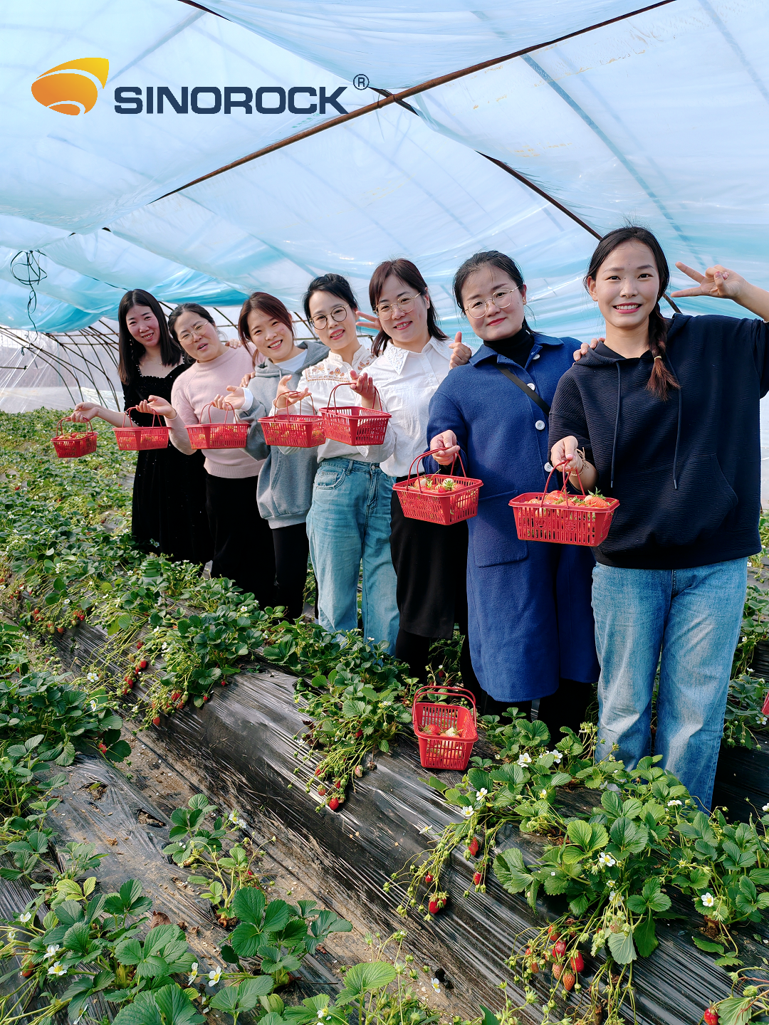 strawberry-picking